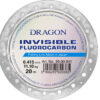Dragon_INVISIBLE_4dc2cd4495b7f.jpg