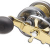 Shimano_TORIUM_1_4dda89fa0c7d4.jpg