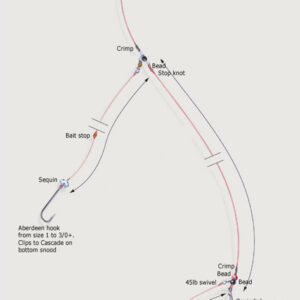 loop-rig-2hook.jpg