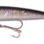 Killer lure 5cm 58-2 05.04.5582
