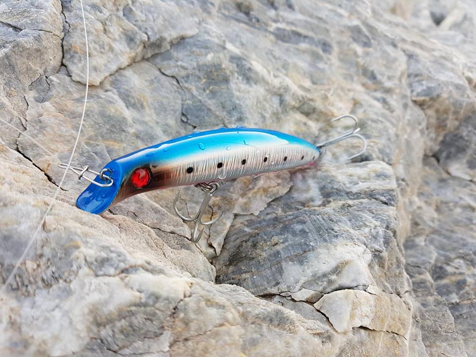 Fortuna Salti FS62 13cm - Image 5