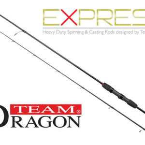 Dragon Express Spinn