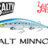Lucky John SALT MINNOW 210F