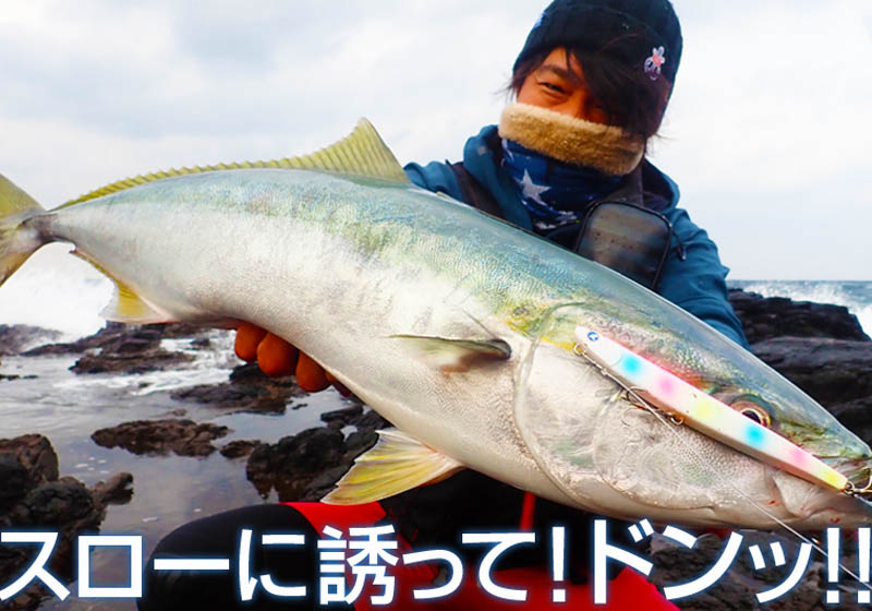 BlueBlue ARVIN 150S - Image 4