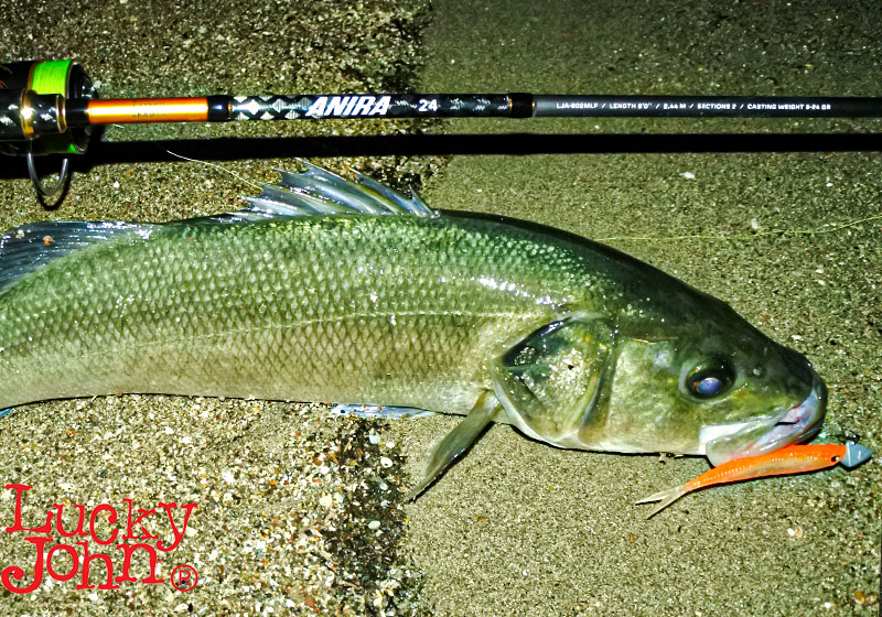 Lucky John ANIRA SEABASS WADING RODS - Image 18