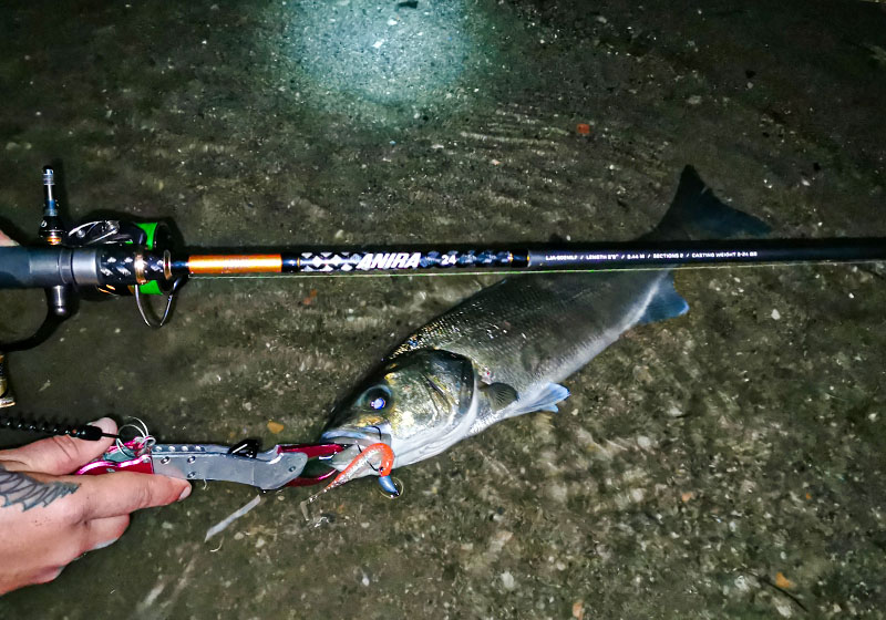 Lucky John ANIRA SEABASS WADING RODS - Image 15