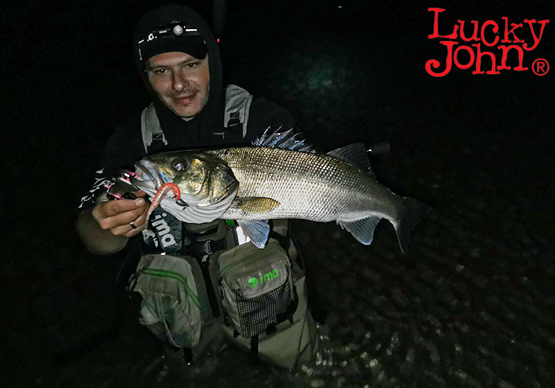 Lucky John ANIRA SEABASS WADING RODS - Image 17