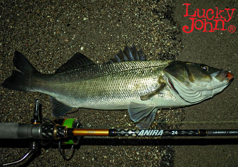 Lucky John ANIRA SEABASS WADING RODS - Image 16