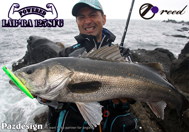 PAZDESIGN LAB-RA 125SFG - Image 5