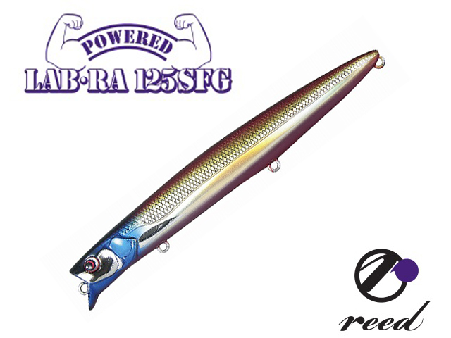 PAZDESIGN LAB-RA 125SFG - Image 3