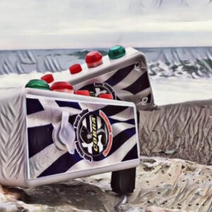 Οπτικός ηλεκτρονικός ειδοποιητής COBRA 1 ALARM