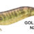 EGISTA 3,5 GOLD PRAWN N28 TS-E35-830855