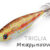 BALLISTIC REAL FISH 3.0B triglia DTD-10806-T