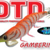 DTD GAMBERINO 3.0