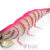 GAMBERINO 3.0 pink DTD-20505-P