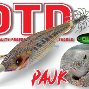 DTD PAUK - "ΔΡΑΚΑΙΝΑ"