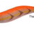 PREMIUM AURI 3.0 orange DTD-20316-O