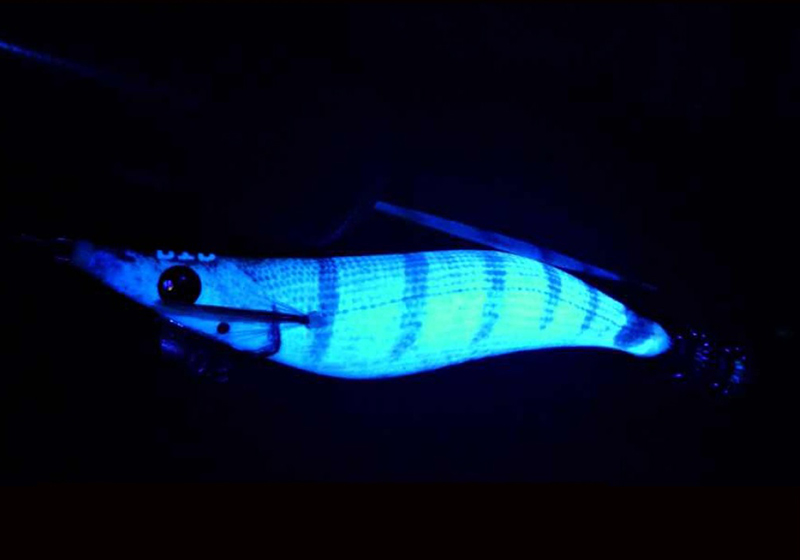 DTD REAL FISH EGI 3.0 - Image 4