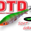 DTD SOFT GIRA 2.0