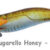 REAL FISH EGI 3.0 sugarello honey DTD-20805-SH