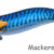REAL FISH EGI 3.0 mackerel DTD-20805-M