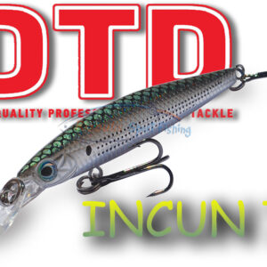 DTD INCUN 70