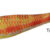 SOFT REAL FISH 1.5 triglia DTD-80802-T
