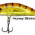 RYUJI S50 Honey Shrimp RY-JS50HS