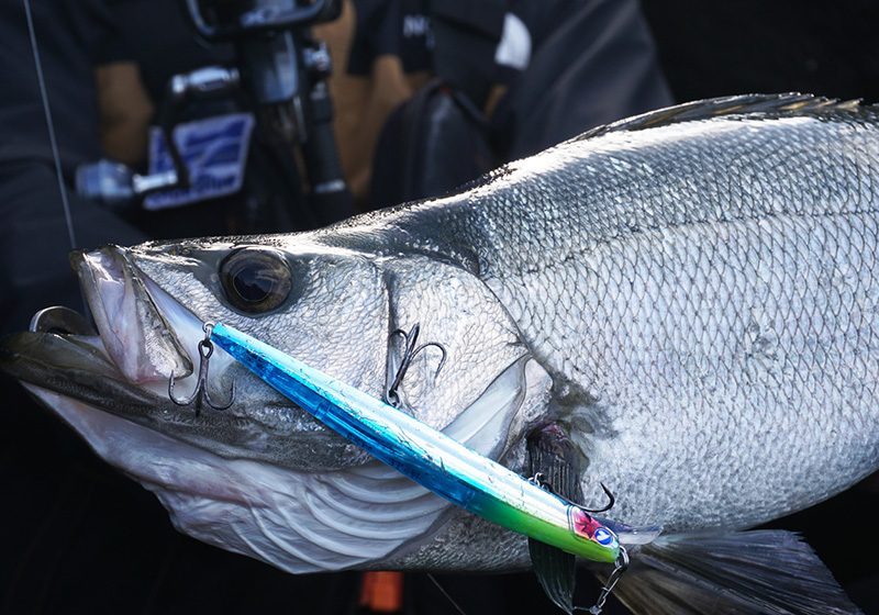 BlueBlue Blooowin! 140J - Image 5