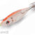 BALLISTIC RED KILLER BUKVA 3.0B ORANGE DTD-10156-O