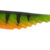 Curvy Shad 10cm 03 04.07.1003