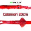 RYUJI CALAMARI 20CM