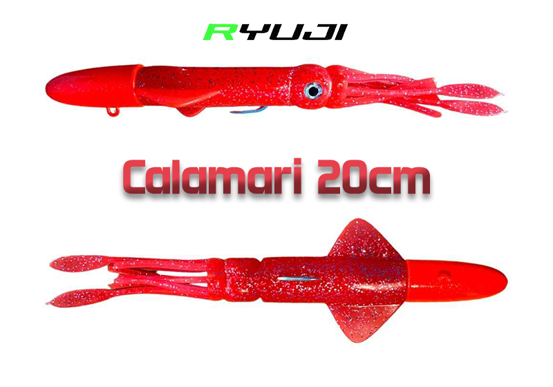 RYUJI CALAMARI 20CM