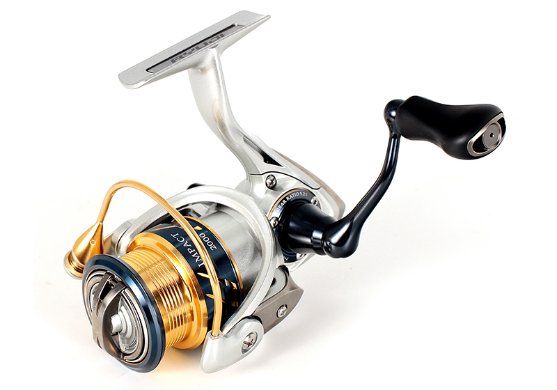 Ryuji IMPACT - Image 3