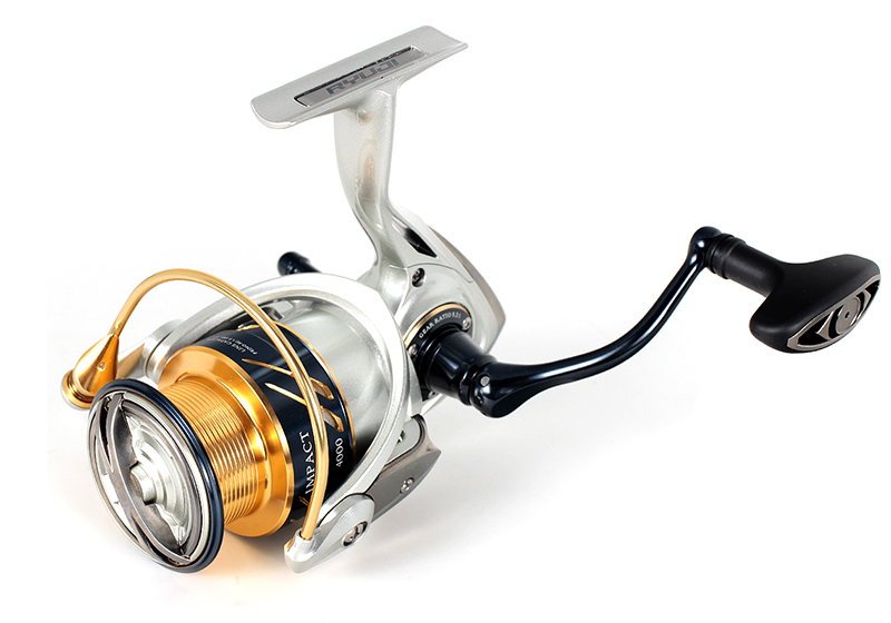 Ryuji IMPACT - Image 4