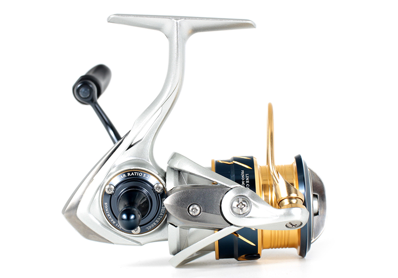 Ryuji IMPACT - Image 7