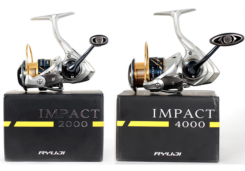 Ryuji IMPACT - Image 8