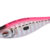 ZEBRA 2.0 Pink DTD-10353-P