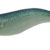EGISTA 2,2 #10 Glow Mackerel TGSA TS-E22-836291